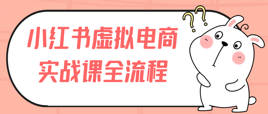小红书虚拟电商实战课全流程 图1